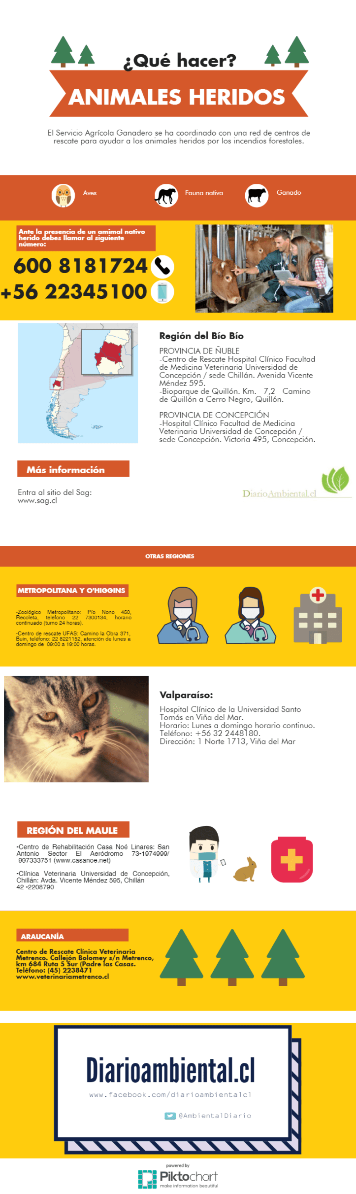 new-piktochart_908_b32698ed39a7694806d756ec4b1d2cc2db97bef4-2